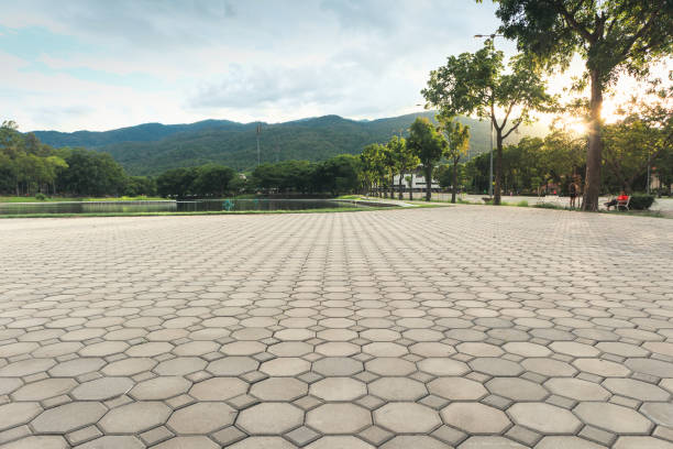 Best Commercial Driveway Pavers  in Van Buren, MO